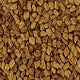 Fenugreek